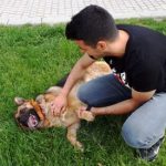 Sevmek, sevilmek için doğmuş- Mert Yılmaz