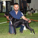 Bursa Ulusal Irk Standartları Yarışması5