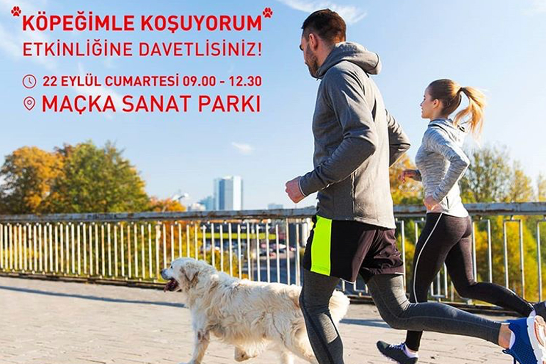 Köpeğimle koşuyorum Köpeğimle koşuyorum