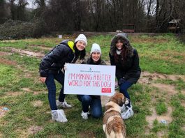 Royal Canin ailesi Reşadiye Ormanları’ndaki canları besledi! Royal Canin ailesi Reşadiye Ormanları'ndaki canları besledi!