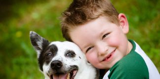 Evcil hayvanlarla otobüste seyahat artık mümkün!