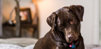 Sigara onlar için de çok zararlı!