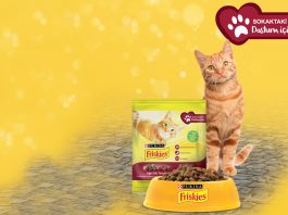 ‘Sokaktaki Dostum İçin’