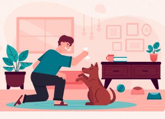 Köpeklere ceza vermek… Köpeklere ceza vermek...